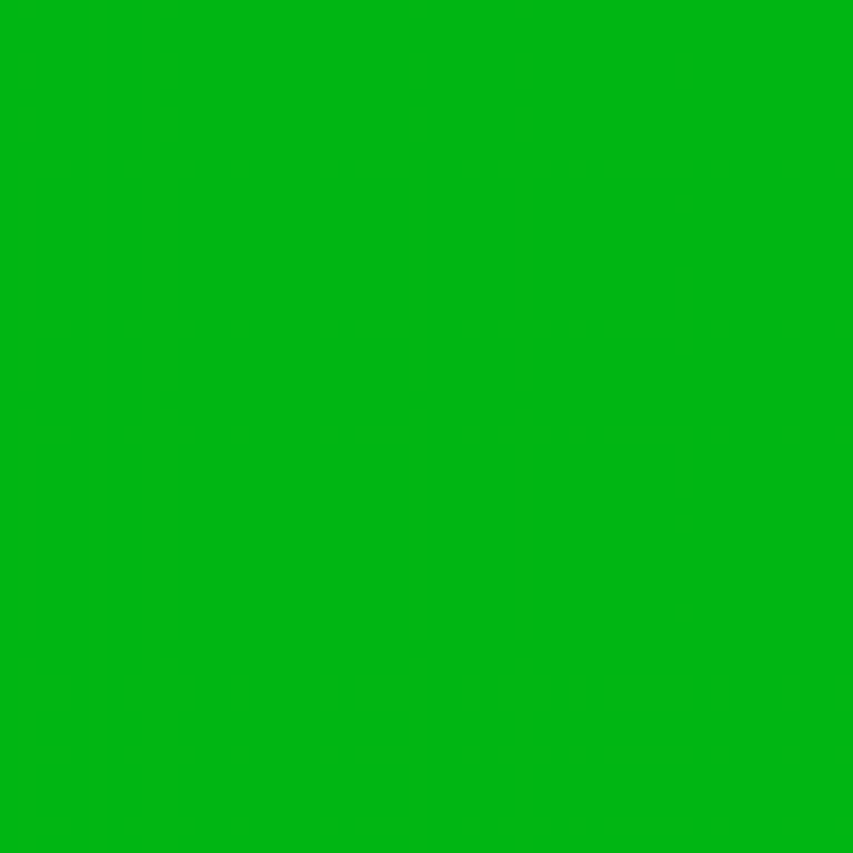 Fluorescenční reflexní barva zelená Ral 6038 1l